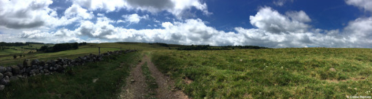 tumblr_ouz2so6F9D1s033ifo7_540