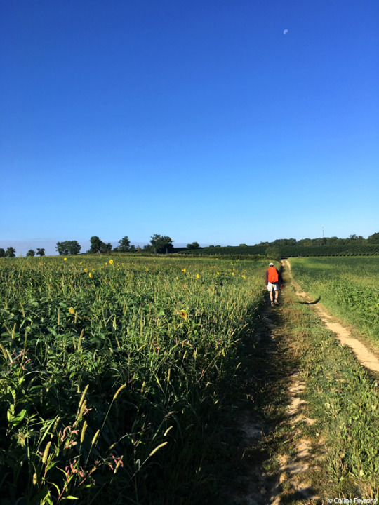 Ce que le Chemin de Compostelle m’a apporté